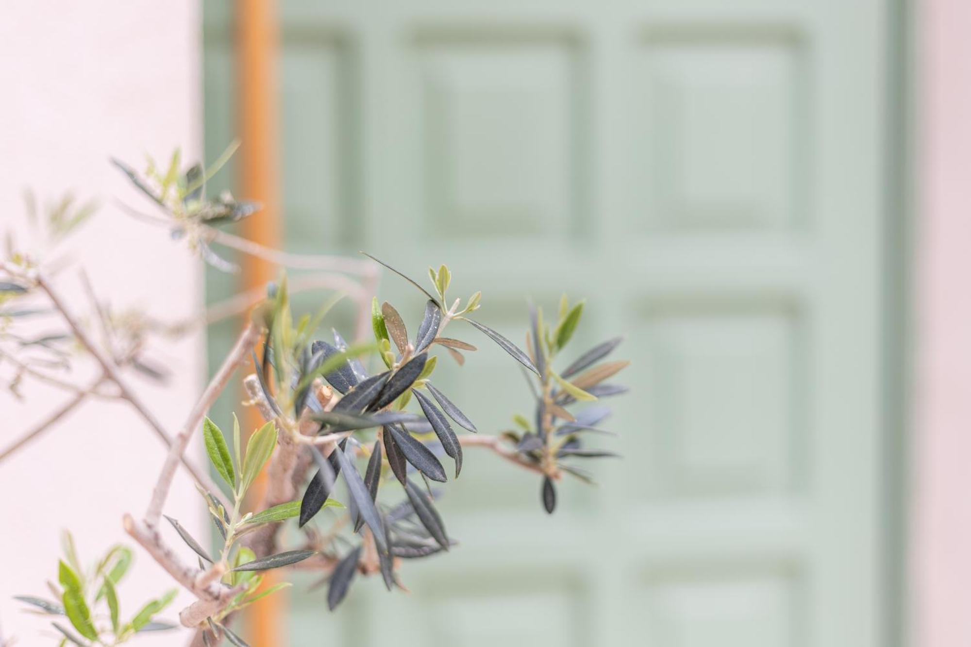 Erofili Traditional House Chania  Exterior foto